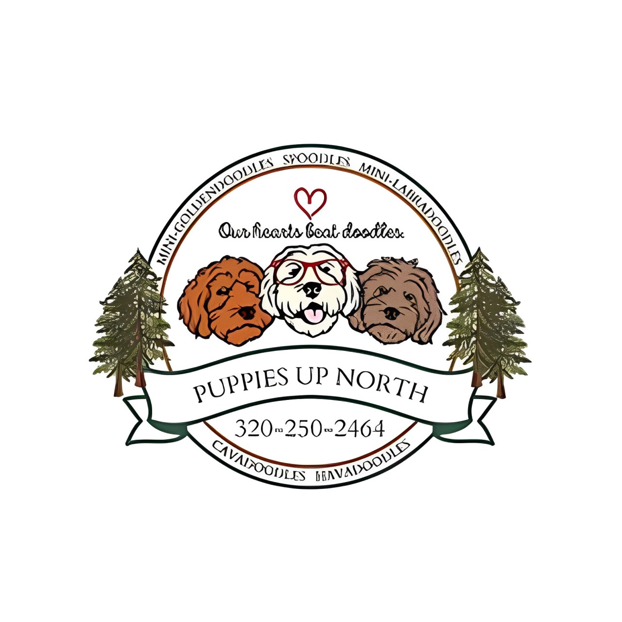 Puppies Up North
